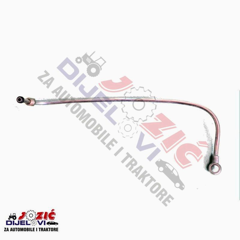 Daisy on the Ohoopee